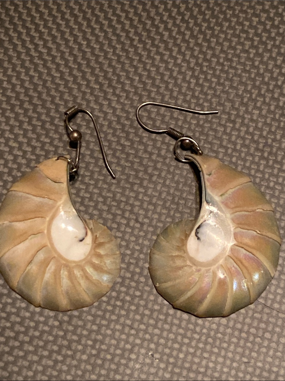 Gorgeous Handcrafted Iridescent Nautilus Shell Drop Earrings